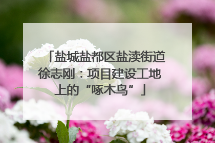 盐城盐都区盐渎街道徐志刚：项目建设工地上的“啄木鸟”